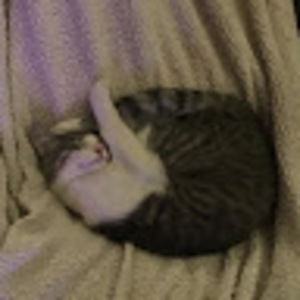 Meet your Posher, Amanda